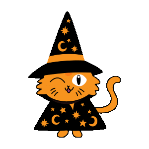 Cat Wizard Sticker by Zenit Seguros