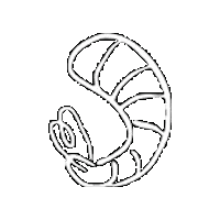 aelling white swing hannover shrimp Sticker