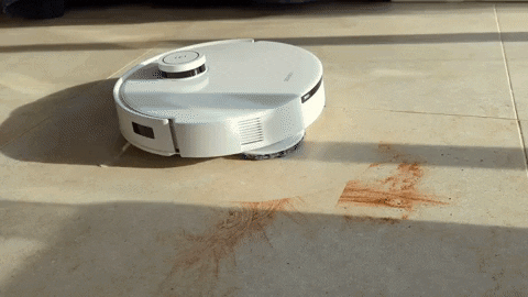 Pog06 giphyupload GIF