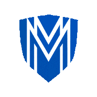 segurosmm mm seguros seguros mm segurosmm Sticker