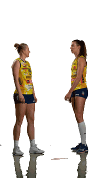 Dekruijf Sticker by ImocoVolley