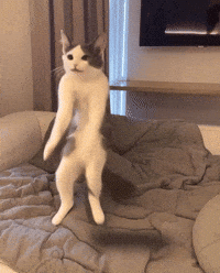 Vibing Artificial Intelligence GIF