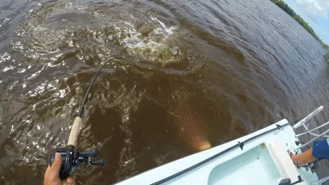 nicklindner giphyupload GIF