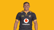 Rugby GIF by Wasps