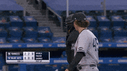 New York Yankees Baseball GIF by Jomboy Media