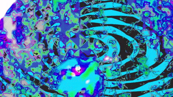 infinitycat trippy psychedelic guitar nashville GIF