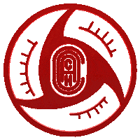 New York Star Sticker by Coach