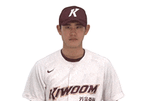 키움히어로즈 Sticker by Kiwoom Heroes Baseball Club