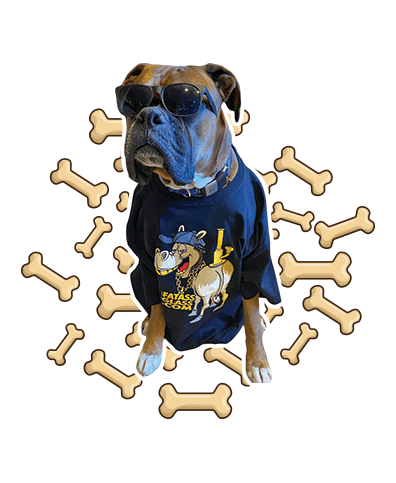 fatassglasscompany giphyupload dog 420 glass Sticker