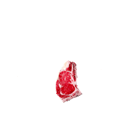 mancinimarket dry aged dry aged beef frollatura carne frollata Sticker