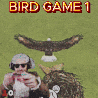 Video Game Gamer GIF