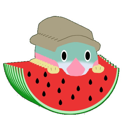 shimizukouen giphygifmaker summer 夏 わくわく Sticker