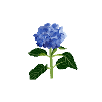 The Gift Art Sticker by Caroline Spence