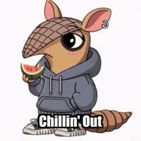 Summer Watermelon GIF by Chillo Dillo