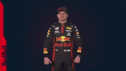 Ver Red Bull GIF by Red Bull Racing Honda