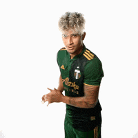 Portland Timbers Sport GIF by Timbers