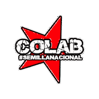 Semillas Chileweed Sticker by Colabseeds