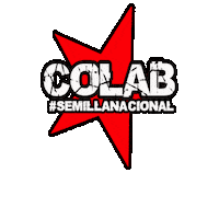 Semillas Colaborativo Sticker by Colabseeds