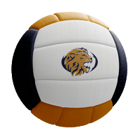 Volleyball Sticker by Grace Prep Academy