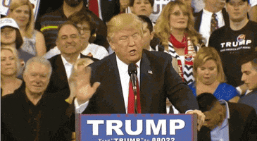 GIF by Mashable