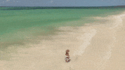 Summer Woman GIF by DEEPSYSTEM