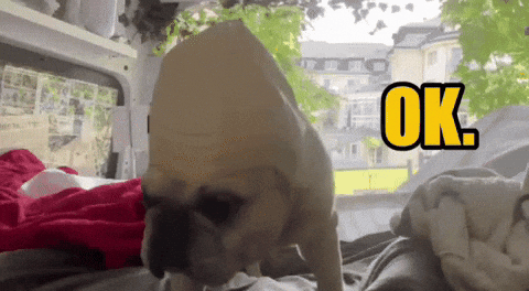 Tvln GIF by The Vanlife Network