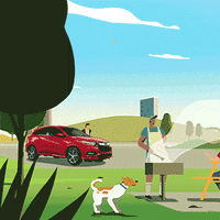 Excited Summer GIF by Honda