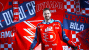 Martin Kaut GIF by HC Dynamo Pardubice