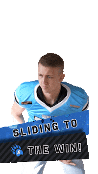 StyrianBears bärig bearsfootball styrianbears slidingtothewin Sticker