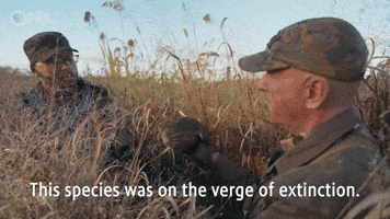 On the Verge of Extinction