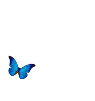 蝶 Sticker