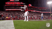 San Francisco 49Ers Football GIF by NFL