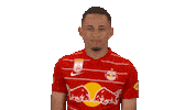 Love You Heart Sticker by FC Red Bull Salzburg