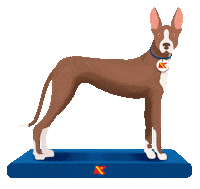 Islas Canarias Dog Sticker by Fred. Olsen Express