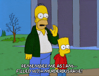 homer simpson GIF