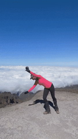 alisonriley829f giphyupload GIF