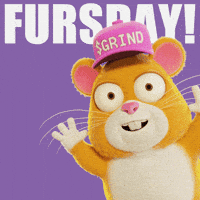 Happy Thursday GIF by Grind