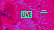 razeofficial razelive GIF by RAZE
