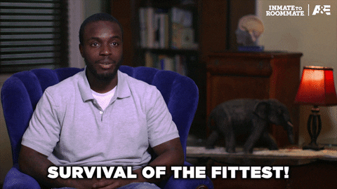 Survival Of The Fittest GIF by A&E