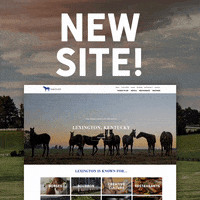 GIF by Lexington, KY