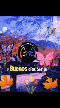 Quiero El Camino GIF by Murcianys LLC