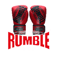 Ready To Rumble Fighting Sticker by Rumble Store Holland