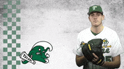 american baseball GIF by GreenWave