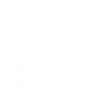 New Year Feliz Sticker by sylterinselliebe