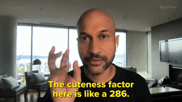 Cuteness Factor