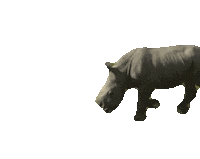 Rhino Edward Sticker by San Diego Zoo