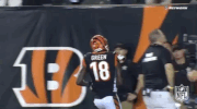 2018 Nfl Football GIF by NFL