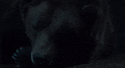 Fun Friends GIF by Adim