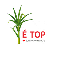 Cana-De-Acucar Sticker by Sumitomo Chemical Brasil