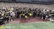 excited michigan football GIF by Michigan Athletics